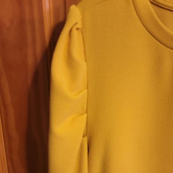 SHEIN CURVE Puffed Sleeve Top Size 1xl - Picture 3 of 4